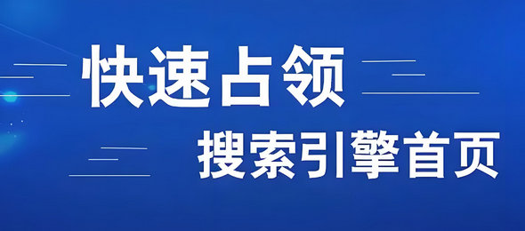 上海网站优化